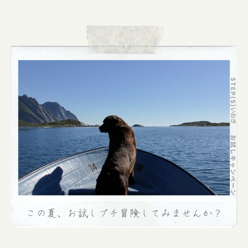 この夏、お試しプチ冒険してみませんか?